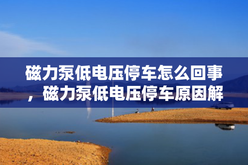 磁力泵低电压停车怎么回事，磁力泵低电压停车原因解析