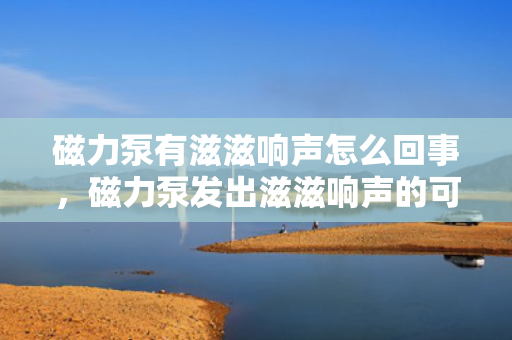 磁力泵有滋滋响声怎么回事，磁力泵发出滋滋响声的可能原因及解决方法