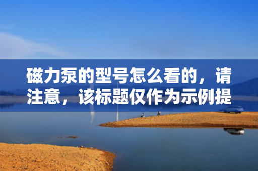 磁力泵的型号怎么看的，请注意，该标题仅作为示例提供，您可以根据具体需求和语境进行调整。