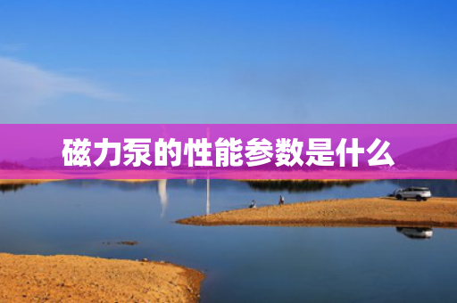 磁力泵的性能参数是什么