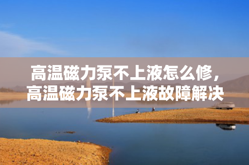 高温磁力泵不上液怎么修，高温磁力泵不上液故障解决方法