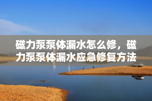 磁力泵泵体漏水怎么修，磁力泵泵体漏水应急修复方法
