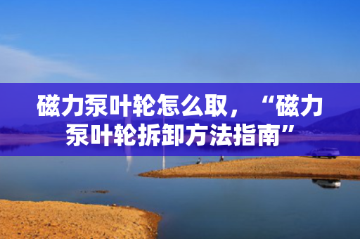 磁力泵叶轮怎么取，“磁力泵叶轮拆卸方法指南”