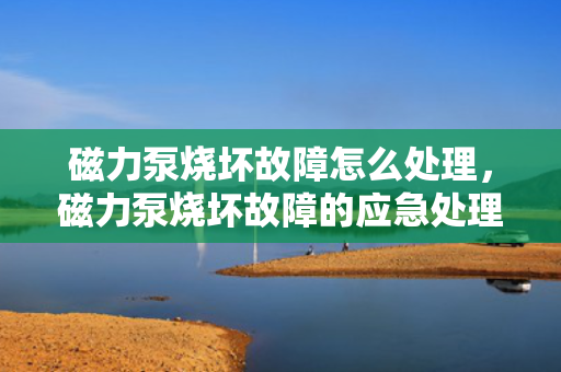 磁力泵烧坏故障怎么处理，磁力泵烧坏故障的应急处理与解决方案