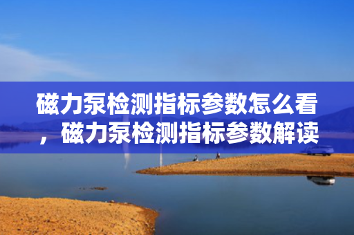 磁力泵检测指标参数怎么看，磁力泵检测指标参数解读方法