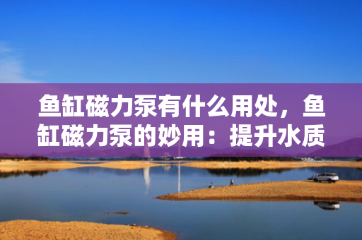 鱼缸磁力泵有什么用处，鱼缸磁力泵的妙用：提升水质循环与过滤效果的关键设备