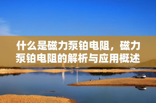 什么是磁力泵铂电阻，磁力泵铂电阻的解析与应用概述