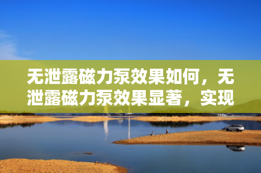 无泄露磁力泵效果如何，无泄露磁力泵效果显著，实现高效无泄漏传输