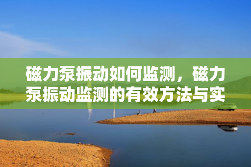 磁力泵振动如何监测，磁力泵振动监测的有效方法与实施步骤