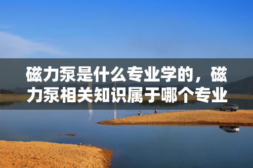 磁力泵是什么专业学的，磁力泵相关知识属于哪个专业领域的学习内容