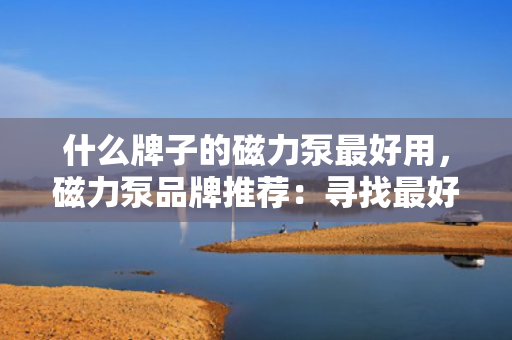 什么牌子的磁力泵最好用，磁力泵品牌推荐：寻找最好用的磁力泵之选