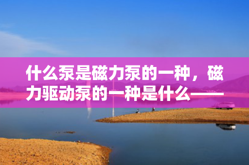 什么泵是磁力泵的一种，磁力驱动泵的一种是什么——探秘磁力泵的类型与特点