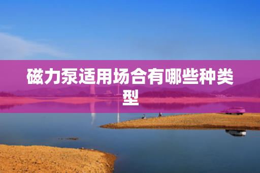 磁力泵适用场合有哪些种类型