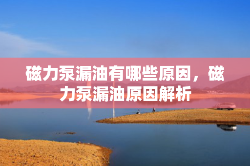 磁力泵漏油有哪些原因，磁力泵漏油原因解析