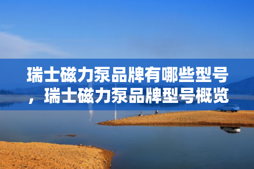 瑞士磁力泵品牌有哪些型号，瑞士磁力泵品牌型号概览：了解不同型号满足您的需求
