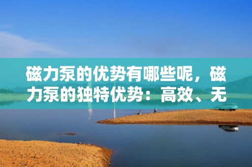 磁力泵的优势有哪些呢，磁力泵的独特优势：高效、无泄漏与长寿命的完美结合