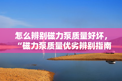 怎么辨别磁力泵质量好坏，“磁力泵质量优劣辨别指南：关键要点一网打尽”