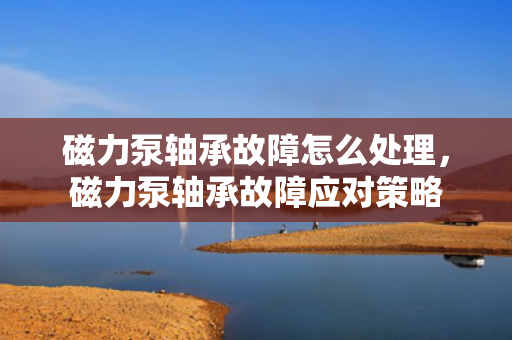 磁力泵轴承故障怎么处理，磁力泵轴承故障应对策略