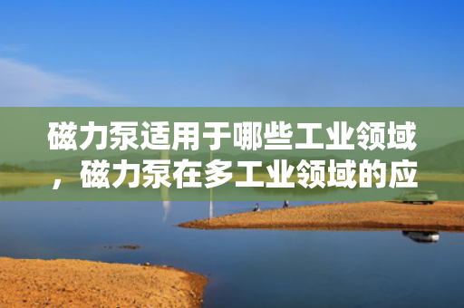 磁力泵适用于哪些工业领域，磁力泵在多工业领域的应用：高效、安全、无泄漏的理想选择