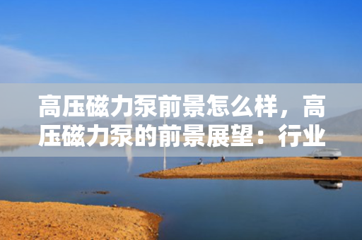高压磁力泵前景怎么样，高压磁力泵的前景展望：行业应用广泛，发展潜力巨大