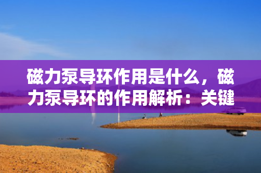 磁力泵导环作用是什么，磁力泵导环的作用解析：关键部件在流体传输中的功能与效益