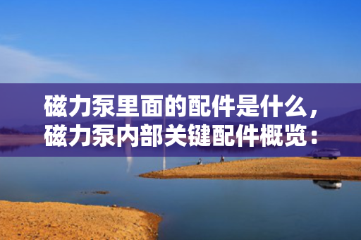 磁力泵里面的配件是什么，磁力泵内部关键配件概览：了解磁力泵的核心组件