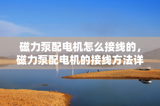 磁力泵配电机怎么接线的，磁力泵配电机的接线方法详解