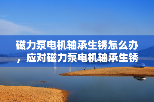 磁力泵电机轴承生锈怎么办，应对磁力泵电机轴承生锈的有效方法