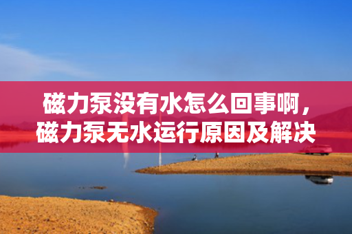 磁力泵没有水怎么回事啊，磁力泵无水运行原因及解决方法