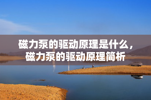 磁力泵的驱动原理是什么，磁力泵的驱动原理简析