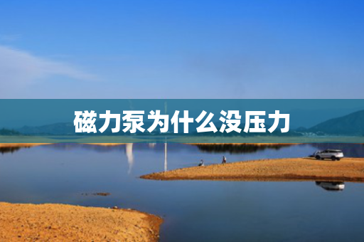磁力泵为什么没压力