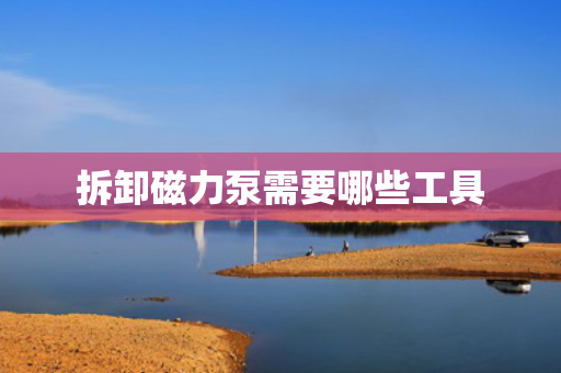拆卸磁力泵需要哪些工具