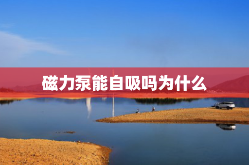 磁力泵能自吸吗为什么
