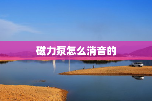 磁力泵怎么消音的