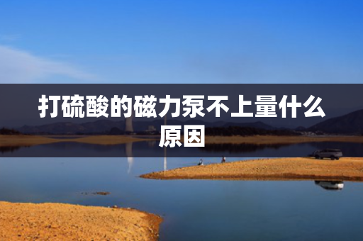 打硫酸的磁力泵不上量什么原因