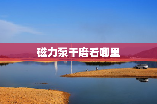 磁力泵干磨看哪里