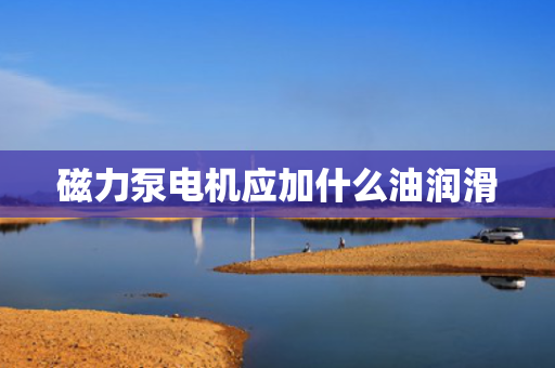 磁力泵电机应加什么油润滑