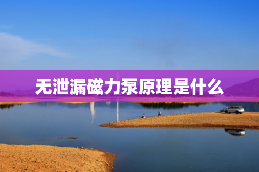 无泄漏磁力泵原理是什么