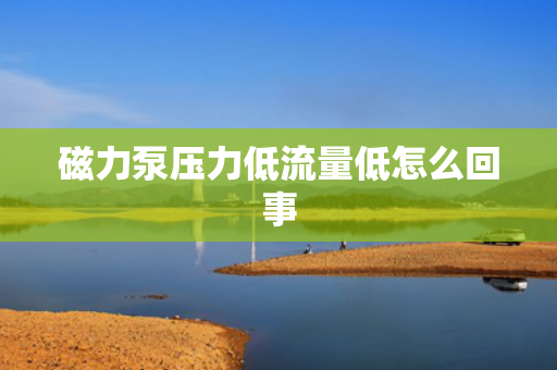 磁力泵压力低流量低怎么回事