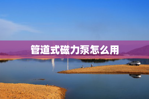 管道式磁力泵怎么用
