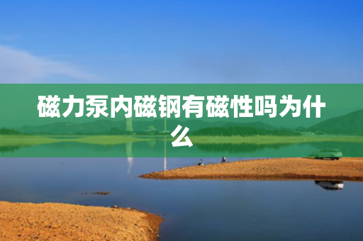 磁力泵内磁钢有磁性吗为什么