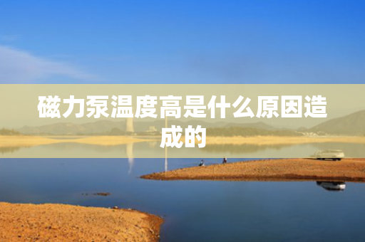 磁力泵温度高是什么原因造成的