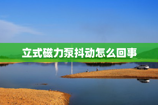 立式磁力泵抖动怎么回事