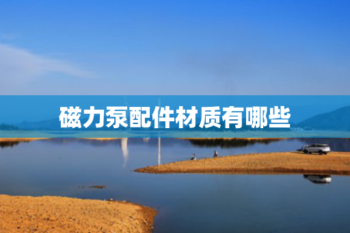 磁力泵配件材质有哪些