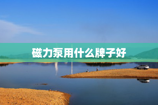 磁力泵用什么牌子好