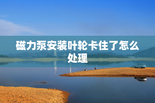 磁力泵安装叶轮卡住了怎么处理