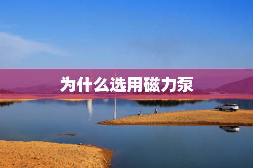 为什么选用磁力泵