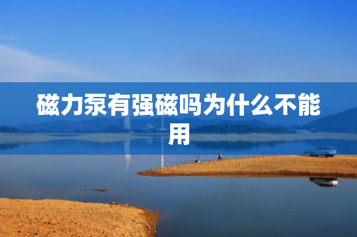 磁力泵有强磁吗为什么不能用