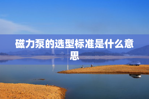 磁力泵的选型标准是什么意思