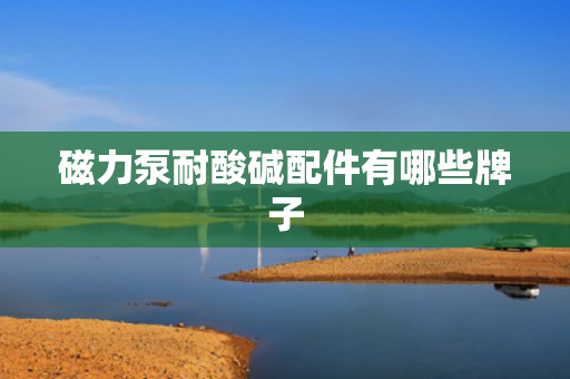 磁力泵耐酸碱配件有哪些牌子